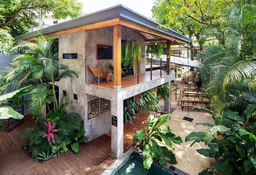 חדר סטנדרט עם מיטת קינג, Somos