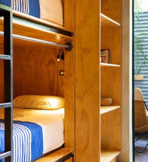 סוויטת ג'וניור, Somos