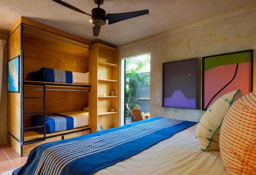 סוויטת ג'וניור, Somos