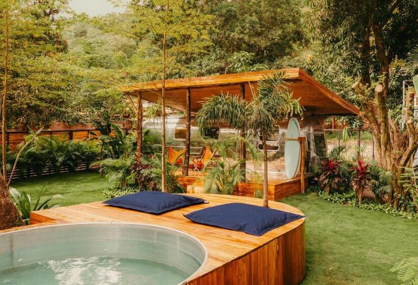 חדר סטנדרט, Somos