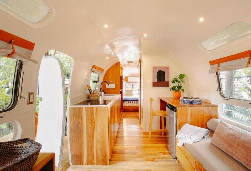 חדר סטנדרט, Somos