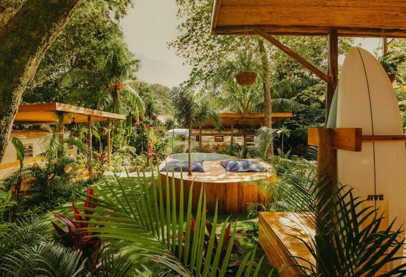 חדר סטנדרט, Somos