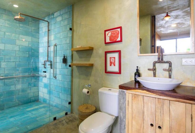 공동 객실, Somos