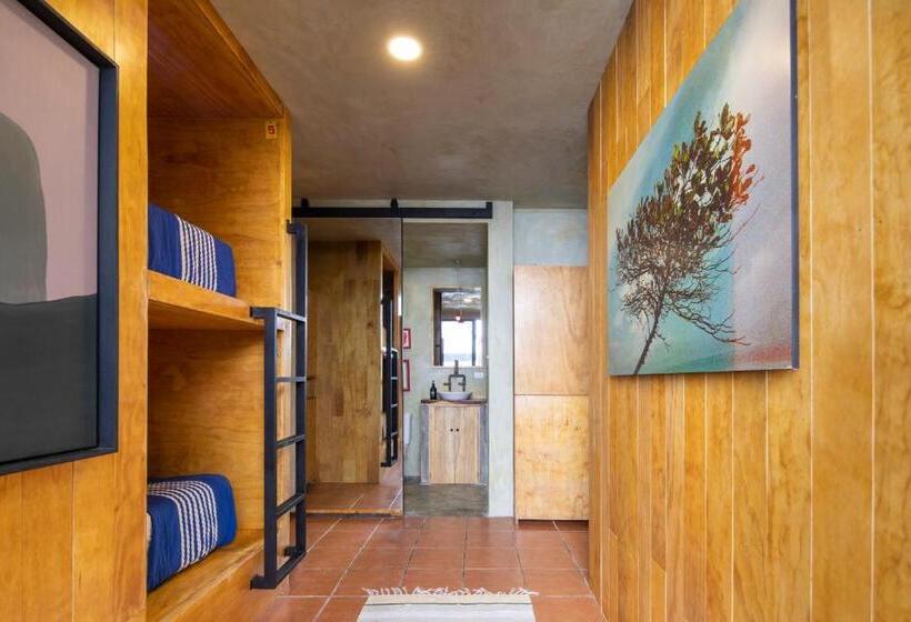 공동 객실, Somos