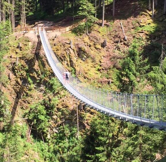 شقة سوبريور غرفة واحدة, Appartamenti Sissi