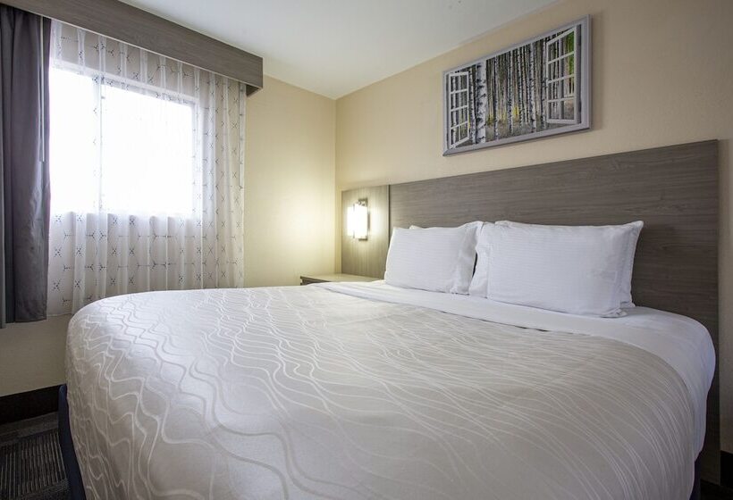 اتاق استاندارد, Aspen Flagstaff/ Grand Canyon Innsuites