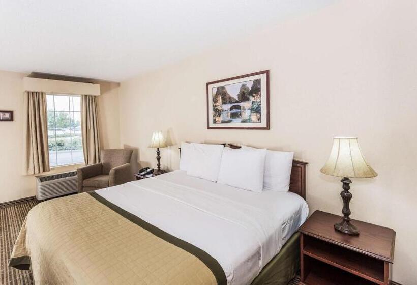 غرفة قياسية سرير كينج, Baymont By Wyndham Valdosta At Valdosta Mall