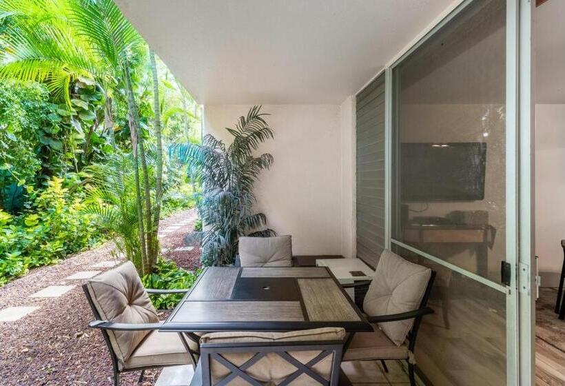 آپارتمان 1 خوابه, Deluxe Kihei Kai Nani Maui Beach Condos