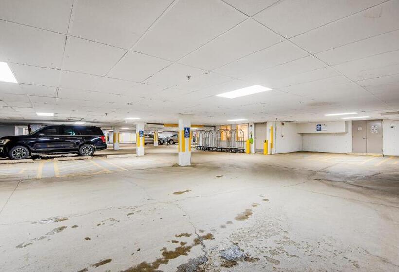 스탠다드 스튜디오, Iron Horse Hideaway