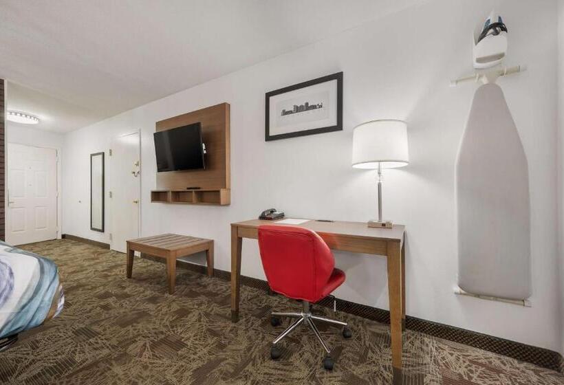 Номер Стандарт Кровать Кинг Адаптированный для Инвалидов, Surestay Hotel By Best Western Tuscaloosa Southeast