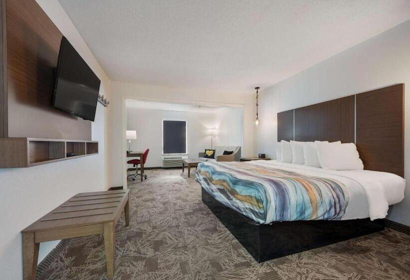 带大床的标准间, Surestay Hotel By Best Western Tuscaloosa Southeast