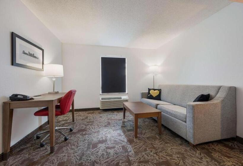 스탠다드 룸 킹사이즈 침대, Surestay Hotel By Best Western Tuscaloosa Southeast