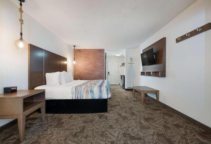 스탠다드 룸 킹사이즈 침대, Surestay Hotel By Best Western Tuscaloosa Southeast