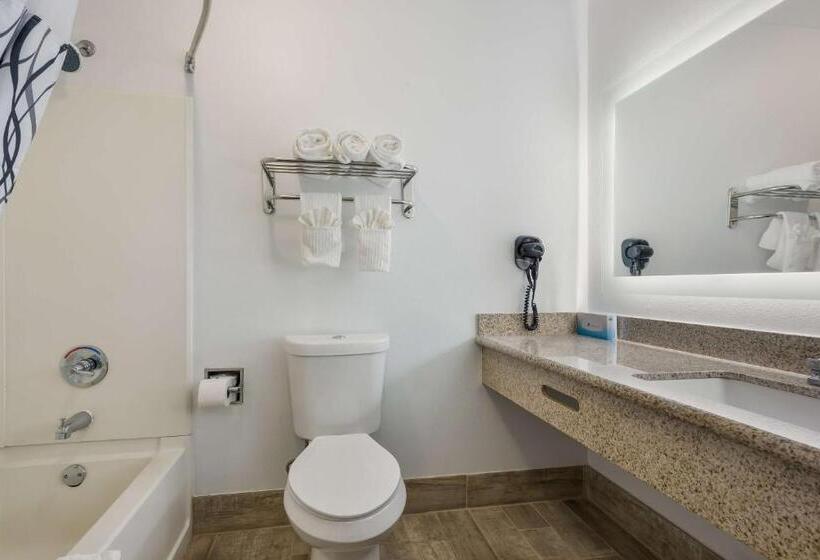 带2个双人床的标准工作室, Surestay Hotel By Best Western Tuscaloosa Southeast