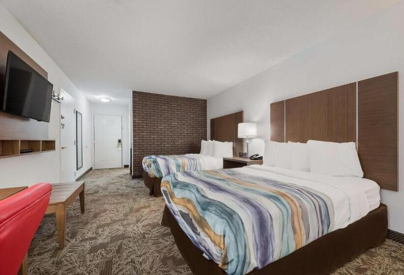 带2个双人床的标准工作室, Surestay Hotel By Best Western Tuscaloosa Southeast
