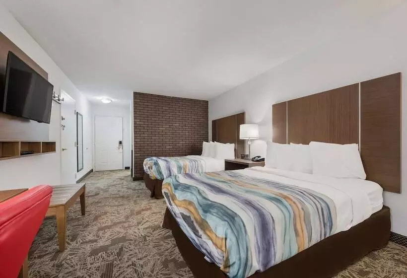 ２ダブルベッドのスタンダードルーム, Surestay Hotel By Best Western Tuscaloosa Southeast