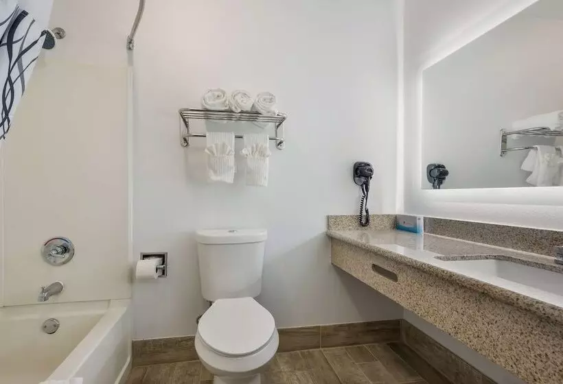 ２ダブルベッドのスタンダードルーム, Surestay Hotel By Best Western Tuscaloosa Southeast