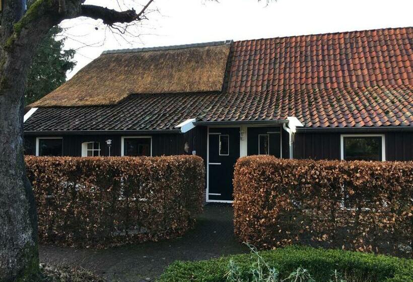 شقة غرفتين, B&b En Appartementen Triënte