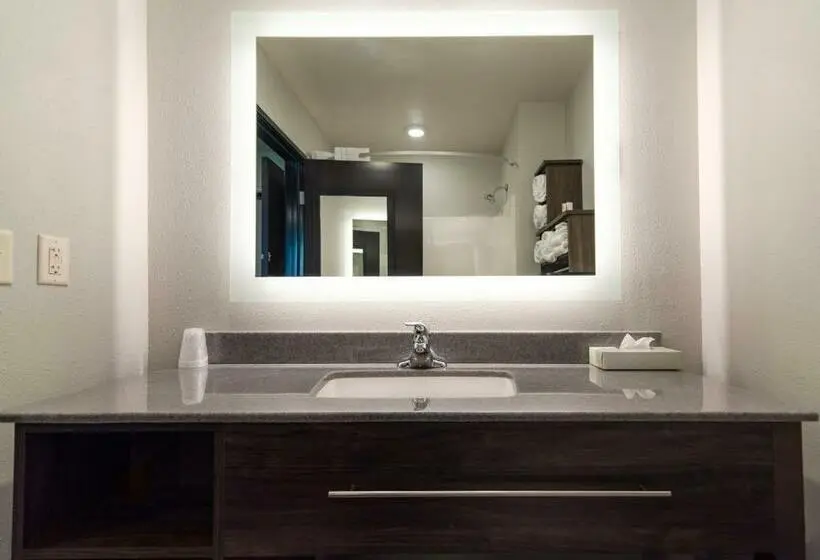 اتاق استاندارد با تخت بزرگ, My Place Hotel Watertown, Sd