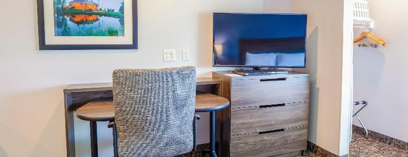 غرفة قياسية سرير كينج, My Place Hotel Watertown, Sd