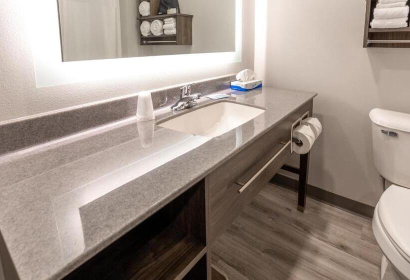 اتاق استاندارد با تخت بزرگ, My Place Hotel Watertown, Sd