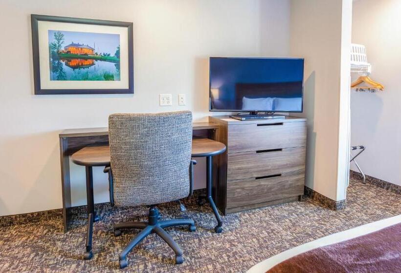 غرفة قياسية سرير كينج, My Place Hotel Watertown, Sd