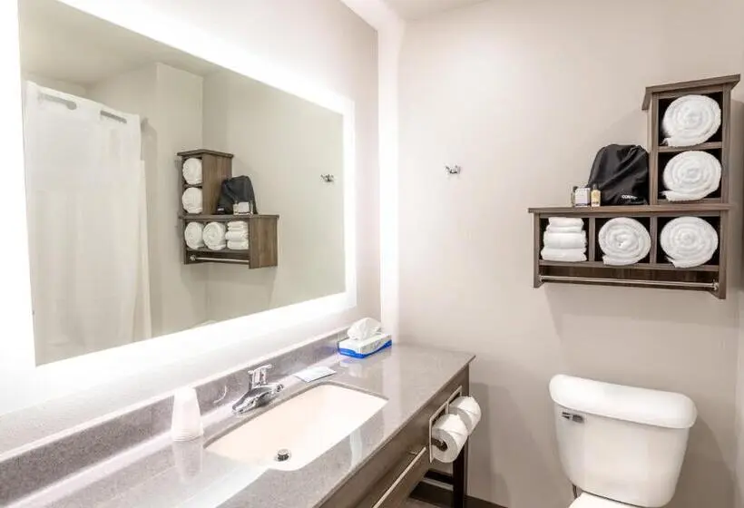 اتاق استاندارد برای معلولان, My Place Hotel Watertown, Sd