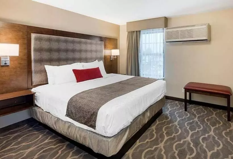身障者適用キングサイズベッドルーム, Country Inn & Suites By Radisson, Grandvillegrand Rapids West, Mi