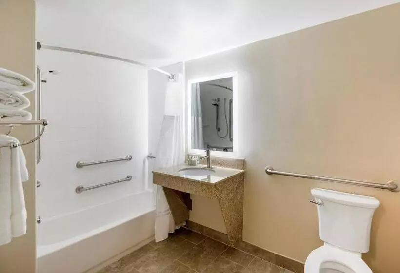 身障者適用キングサイズベッドルーム, Country Inn & Suites By Radisson, Grandvillegrand Rapids West, Mi
