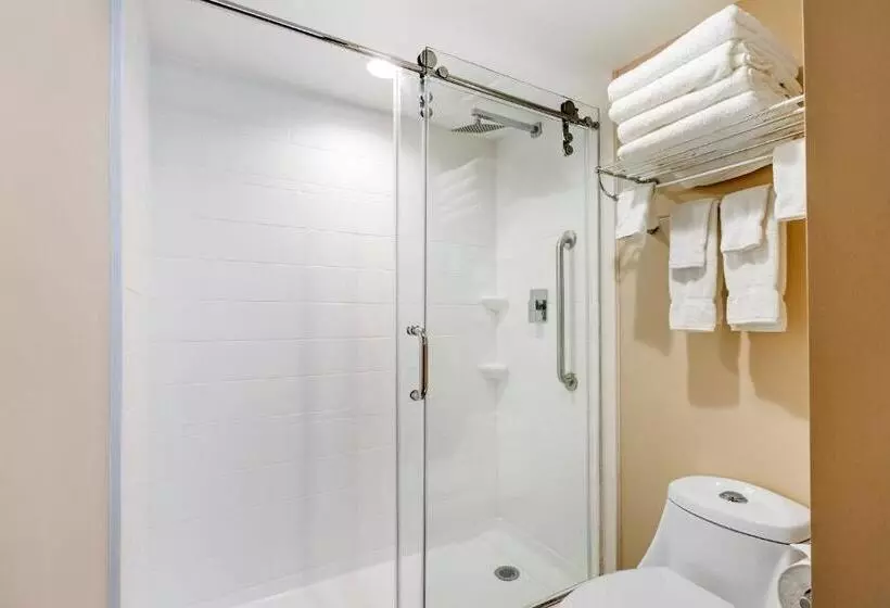 スタンダードルーム, Country Inn & Suites By Radisson, Grandvillegrand Rapids West, Mi