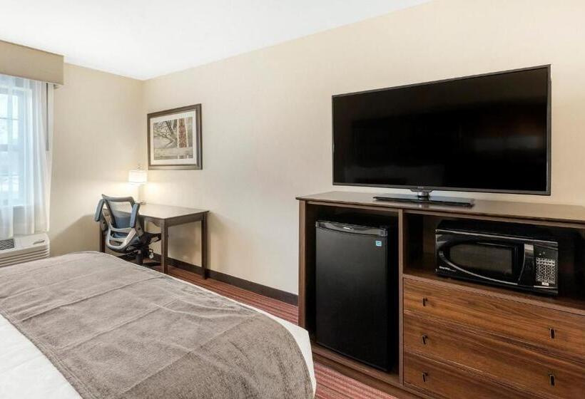 スタンダードルーム, Country Inn & Suites By Radisson, Grandvillegrand Rapids West, Mi