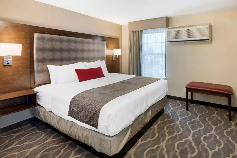 キングサイズベッドのスイートルーム, Country Inn & Suites By Radisson, Grandvillegrand Rapids West, Mi