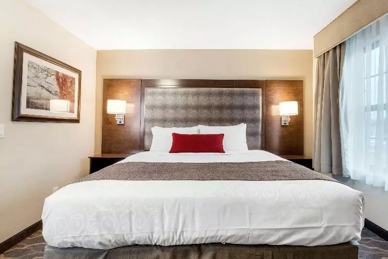 キングサイズベッドのスイートルーム, Country Inn & Suites By Radisson, Grandvillegrand Rapids West, Mi