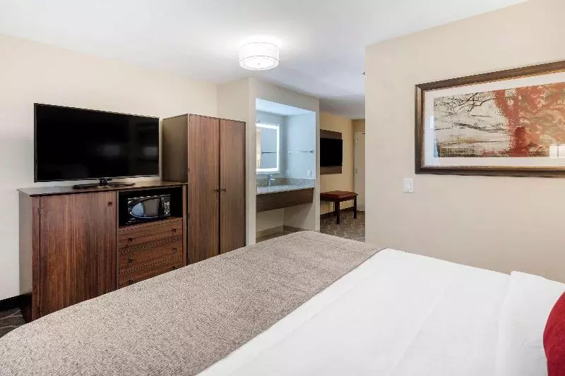 キングサイズベッドのスイートルーム, Country Inn & Suites By Radisson, Grandvillegrand Rapids West, Mi