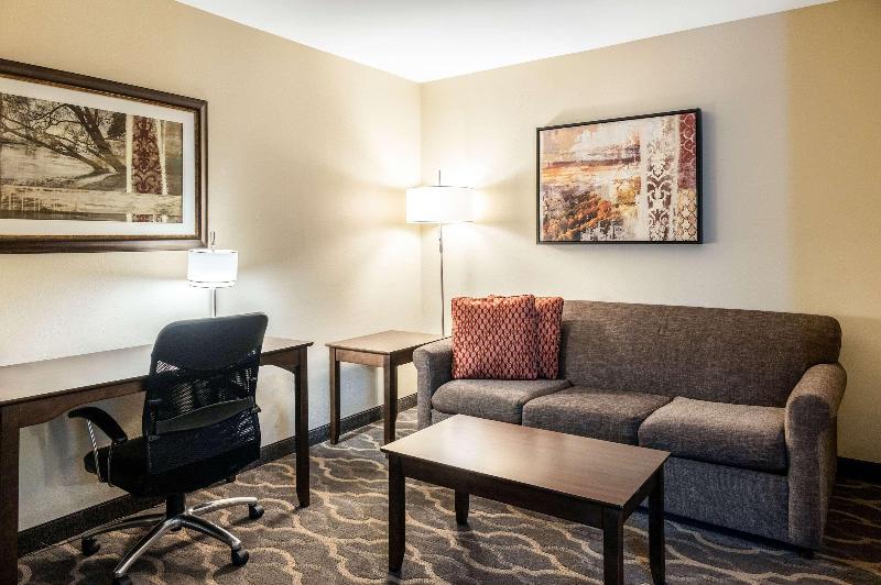 Номер Стандарт Кровать Кинг Адаптированный для Инвалидов, Country Inn & Suites By Radisson, Grandvillegrand Rapids West, Mi
