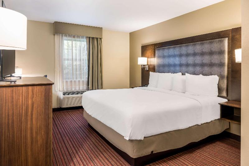 身障者適用キングサイズベッドルーム, Country Inn & Suites By Radisson, Grandvillegrand Rapids West, Mi