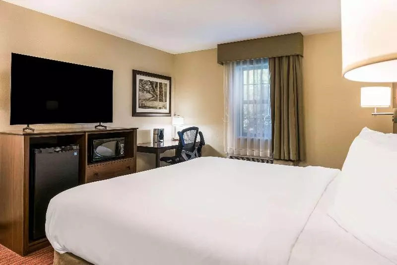 身障者適用キングサイズベッドルーム, Country Inn & Suites By Radisson, Grandvillegrand Rapids West, Mi