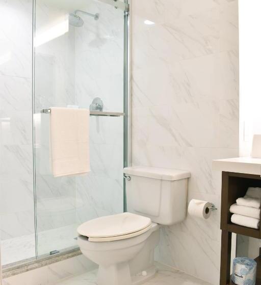 身障者適用クイーンサイズベッドルーム, Delta Hotels By Marriott Indianapolis East