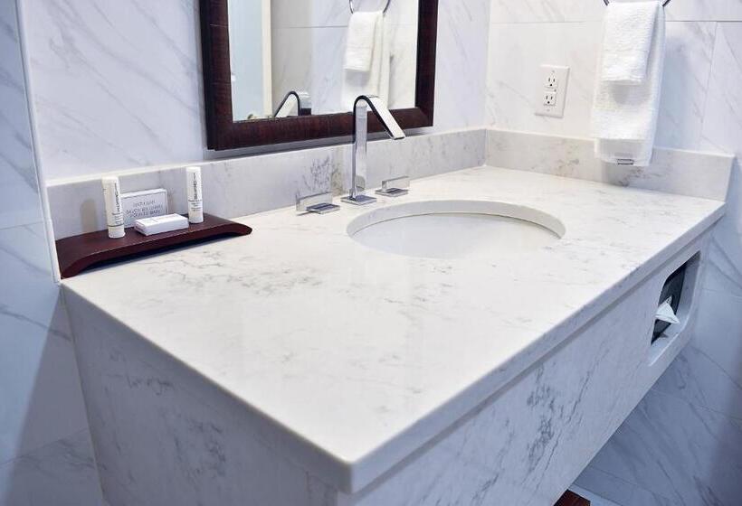 身障者適用クイーンサイズベッドルーム, Delta Hotels By Marriott Indianapolis East