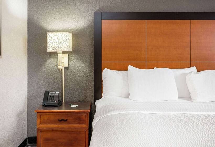 غرفة ديلوكس, Super 8 By Wyndham The Woodlands North