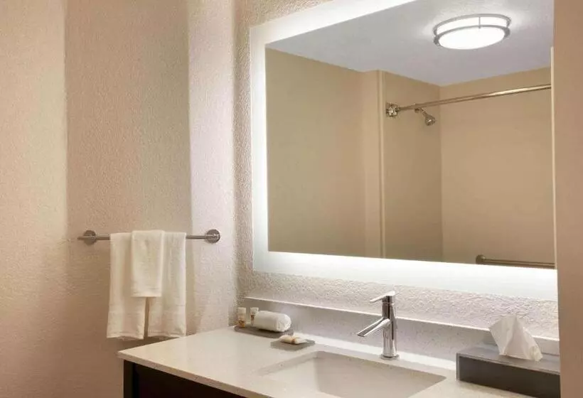 キングサイズベッドのデラックスルーム, La Quinta By Wyndham Miami Airport West