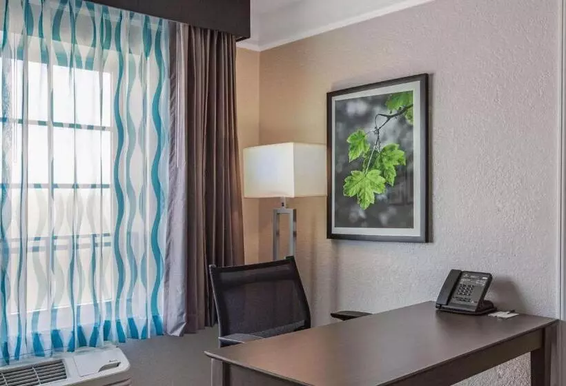 キングサイズベッドのデラックスルーム, La Quinta By Wyndham Miami Airport West