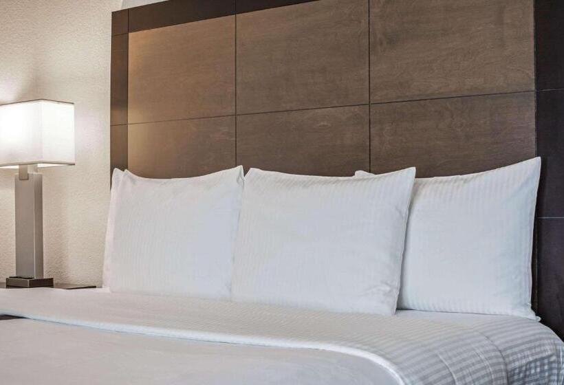 带大床的套房, La Quinta By Wyndham Miami Airport West