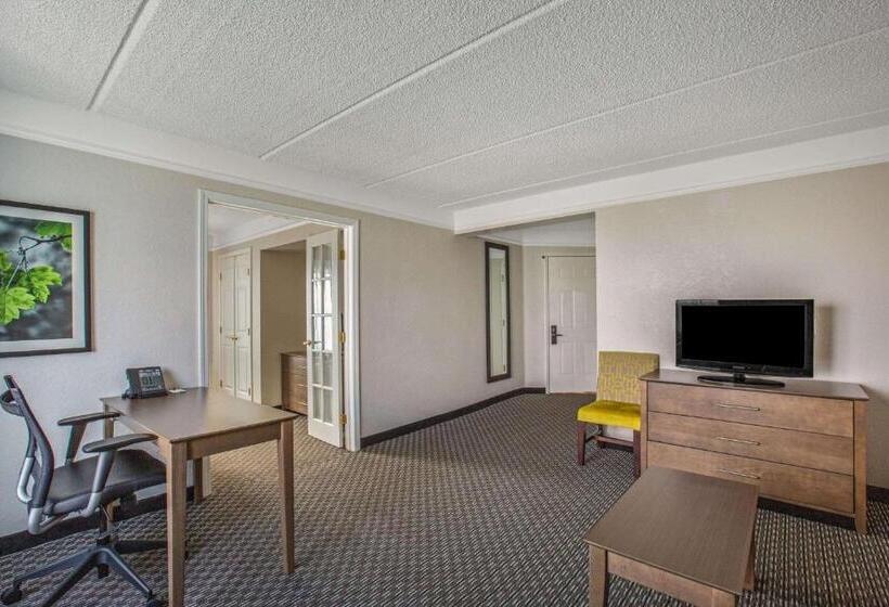 带大床的套房, La Quinta By Wyndham Miami Airport West