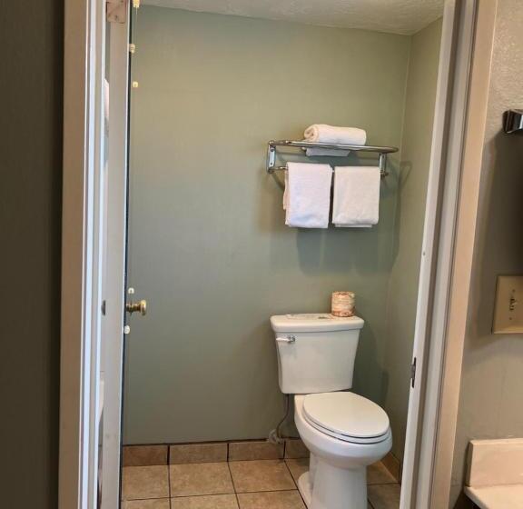 스탠다드 룸 킹사이즈 침대, Lamp Liter Inn