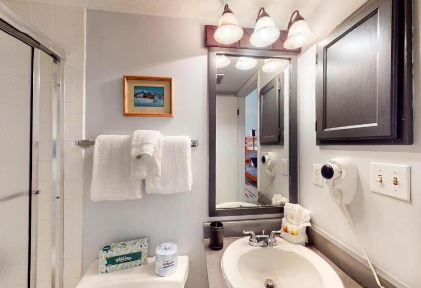 １階の１ベッドルームアパートメント, The Lodge At Steamboat