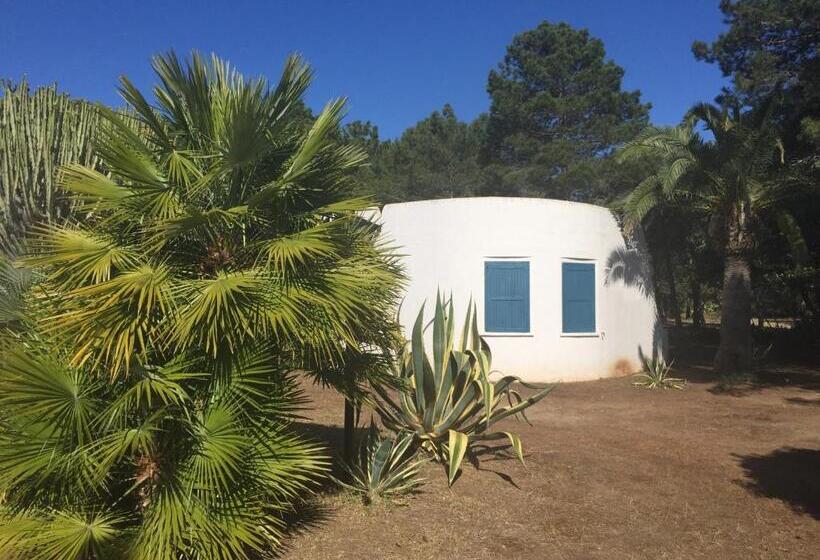 ویلای استاندارد با چشمانداز باغ, Residenza Gherly