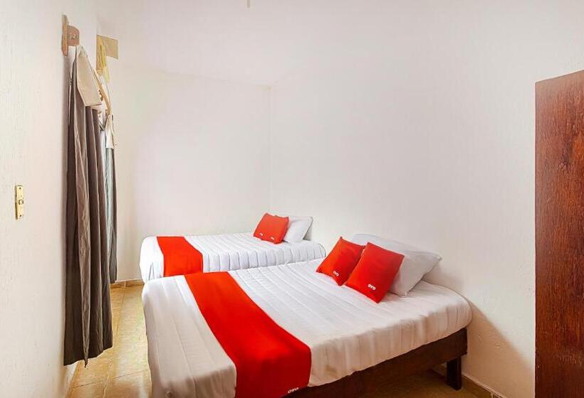 Пятиместный Стандартный Номер, Posada Los Faroles