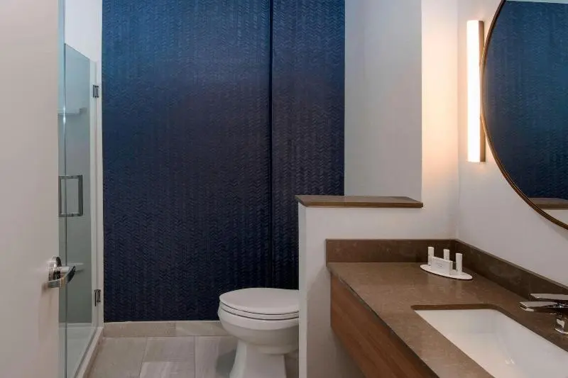 キングサイズベッドのスイートルーム, Fairfield Inn & Suites Kinston