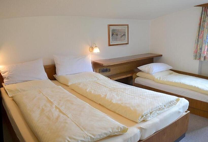Апартаменты 3 Спальни, Ferienwohnungen Greiderer Walchsee